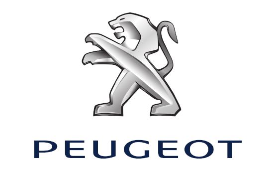 Peugeot Servisleri